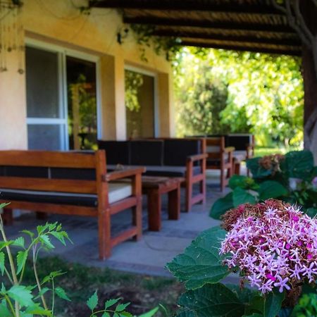Finca Del Rio - Casa De Campo Tunuyán Kültér fotó